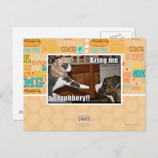 灌木 ポストカード (正面/裏面)