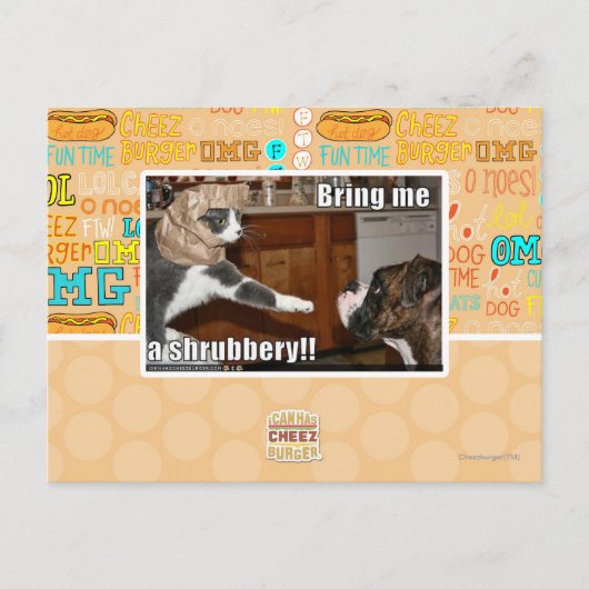 灌木 ポストカード (正面)