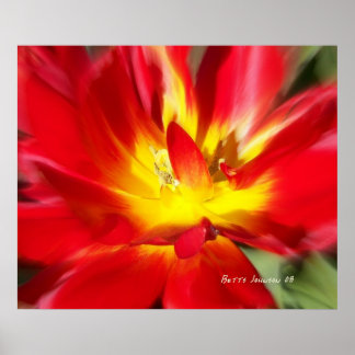 火にケシ！ ポスター