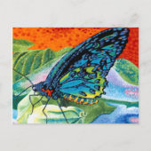 火のついた蝶II ポストカード (正面)