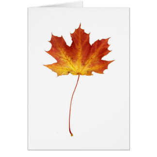 火のアメリカハナノキの葉カード