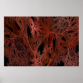 火のクモ ポスター (正面)