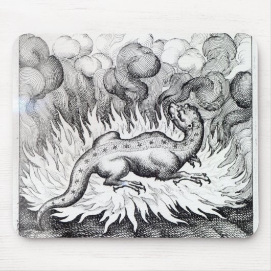 火のサンショウウオの生命として マウスパッド (正面)