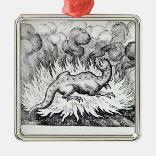 火のサンショウウオの生命として メタルオーナメント (正面)