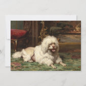 火の上に置かれるプードル | 学フランスの校 (正面)