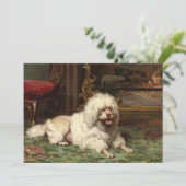 火の上に置かれるプードル | 学フランスの校 (スタンド正面)