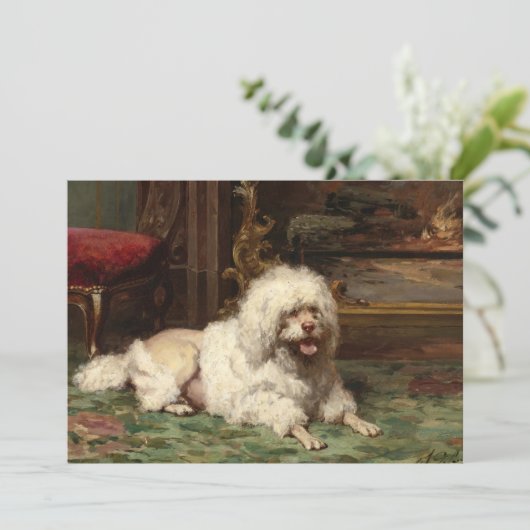 火の上に置かれるプードル | 学フランスの校 (スタンド正面)