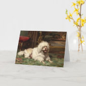 火の上に置かれるプードル | 学フランスの校 カード (黄色い花)