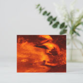 火の中で泳ぐ ポストカード (スタンド正面)