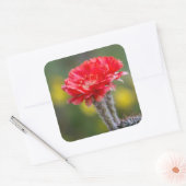 火の光の二重奏 スクエアシール (封筒)