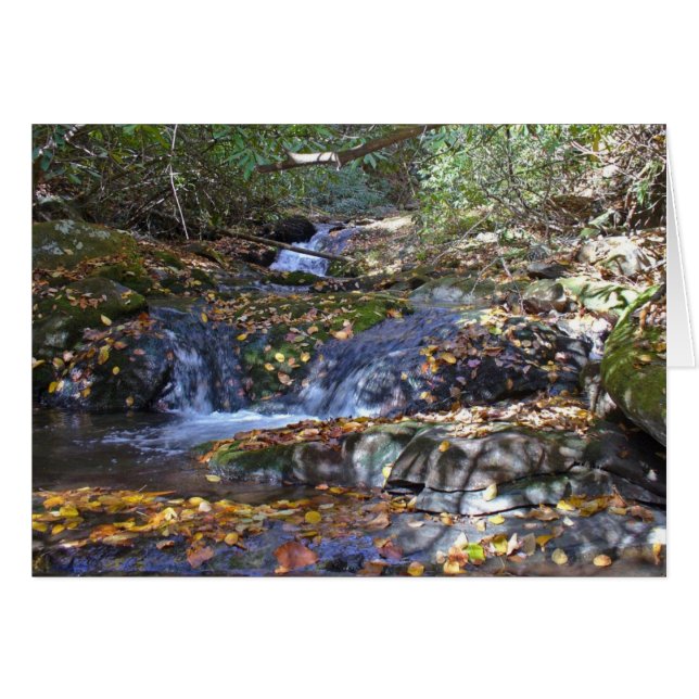 火の入り江の秋の滝 (正面横)