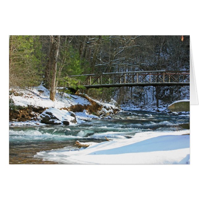 火の入り江橋 (正面横)