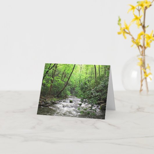 火の入り江 カード (黄色い花)