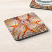 火の少年の堅いプラスチックコースター(6)の置いて下さい コースター (左側)