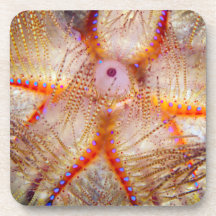 火の少年の堅いプラスチックコースター(6)の置いて下さい