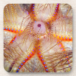 火の少年の堅いプラスチックコースター(6)の置いて下さい コースター