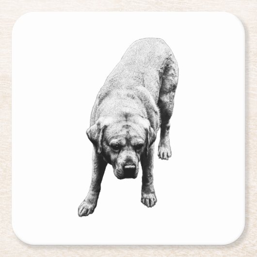 火の強さ スクエアペーパーコースター (正面)