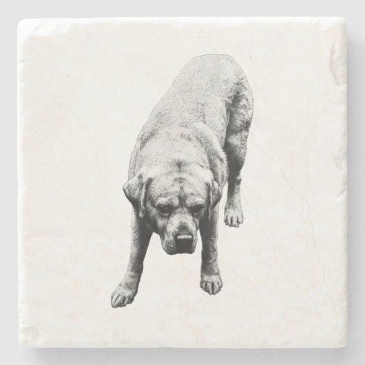 火の強さ ストーンコースター (正面)