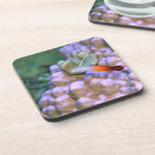 火の投げ矢の魚、沖縄、日本の閉めて下さい コースター (左側)