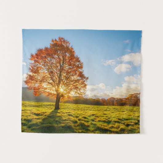 火の木 タペストリー (正面(横))