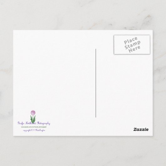 火の木 ポストカード (裏面)