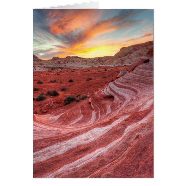 火の波の日没 (正面)