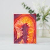 火の灰 ポストカード (スタンド正面)