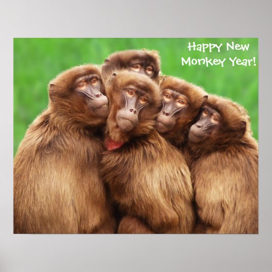 火の猿のポスターの年 ポスター (正面)