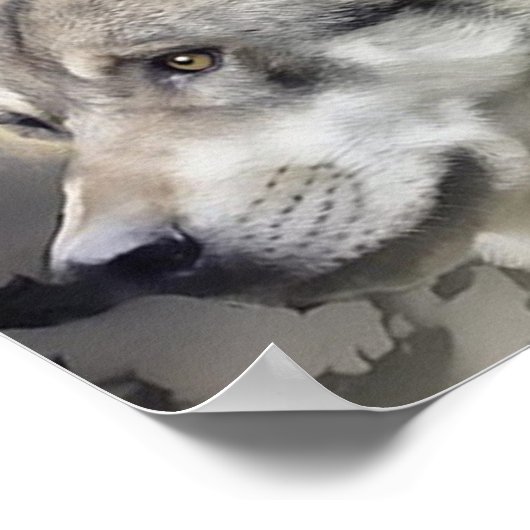 火の玉と狼のポスターを持つ神秘的な女の子 ポスター (角)