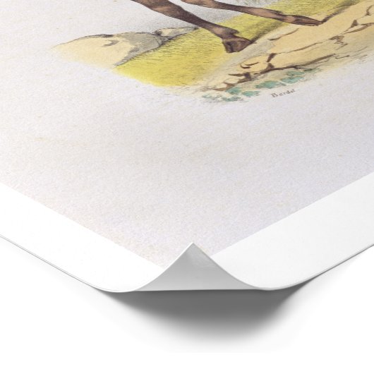 火の神アグニ、チャールズ・エティエンヌ・パイが刻んだ ポスター (角)