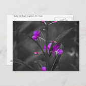 火の草むぎショットポストカード ポストカード (正面/裏面)