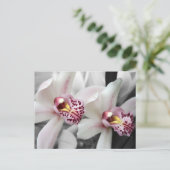 火の蘭 ポストカード (スタンド正面)