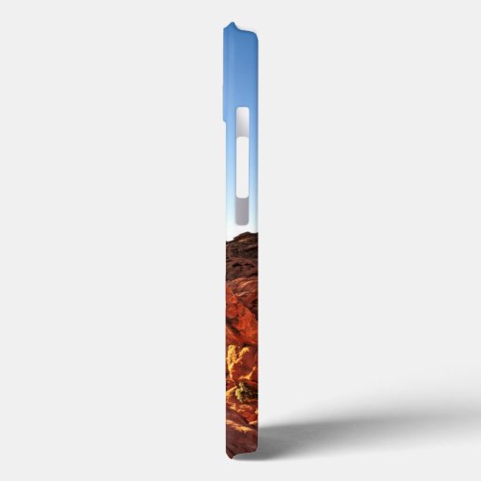 火の谷の象の石 Case-Mate iPhoneケース (裏面 / 左)