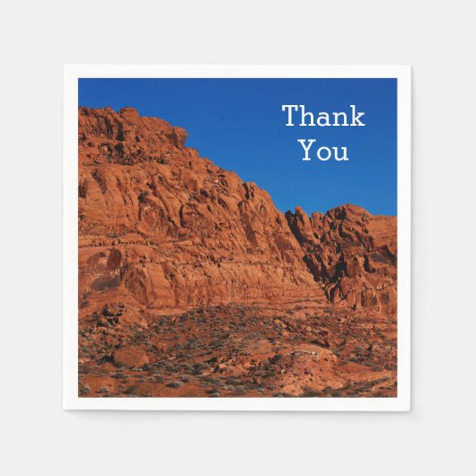 火の谷 スタンダードカクテルナプキン (正面)