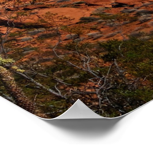 火の谷 ポスター (角)