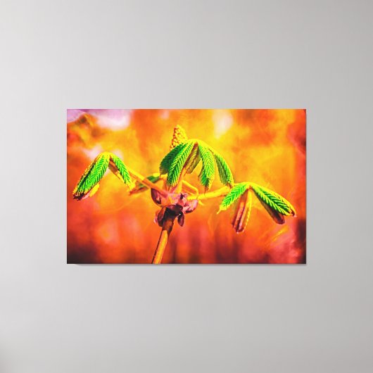 火の踊り キャンバスプリント (正面)