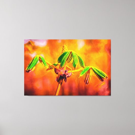 火の踊り キャンバスプリント (正面)