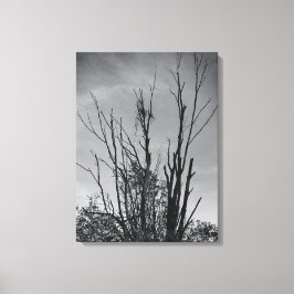 火の鳥の灰 キャンバスプリント