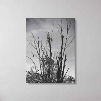 火の鳥の灰 キャンバスプリント