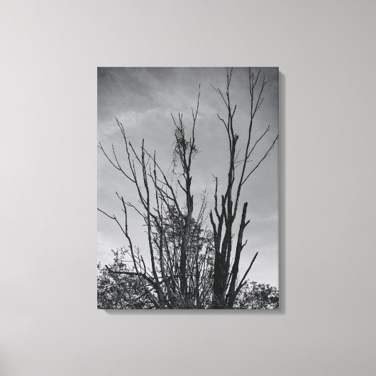 火の鳥の灰 キャンバスプリント (正面)