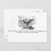 火の鳥は灰の中から立ち上がった ポストカード (正面/裏面)