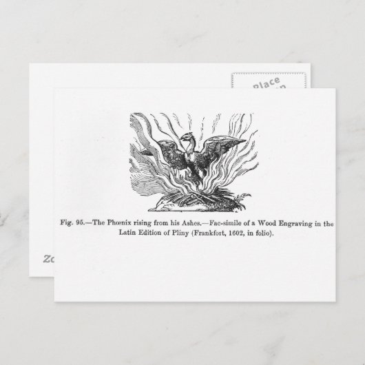 火の鳥は灰の中から立ち上がった ポストカード (正面/裏面)
