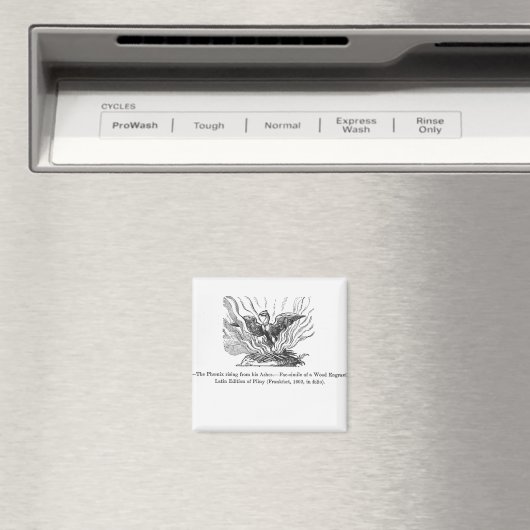 火の鳥は灰の中から立ち上がった マグネット (インサイチュ (食洗機))