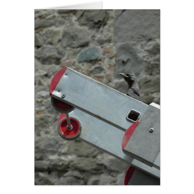 火はどこにありますか。 (正面)