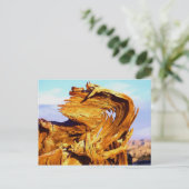 火を燃やす ポストカード (スタンド正面)