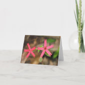 火ピンク- Customized2 カード (正面)