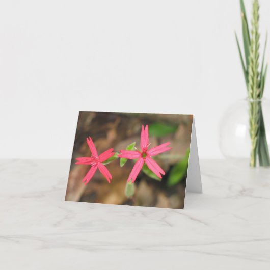 火ピンク- Customized2 カード (正面)