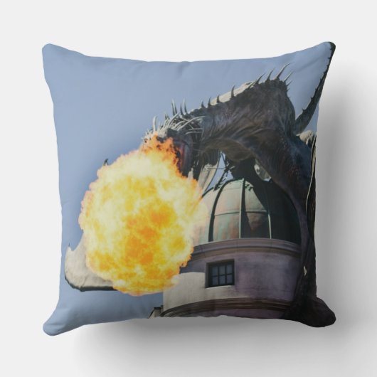 火吹き竜の像 クッション (裏面)