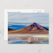 火山とフラミンゴ ポストカード (正面/裏面)