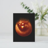 火山はがき ポストカード (スタンド正面)